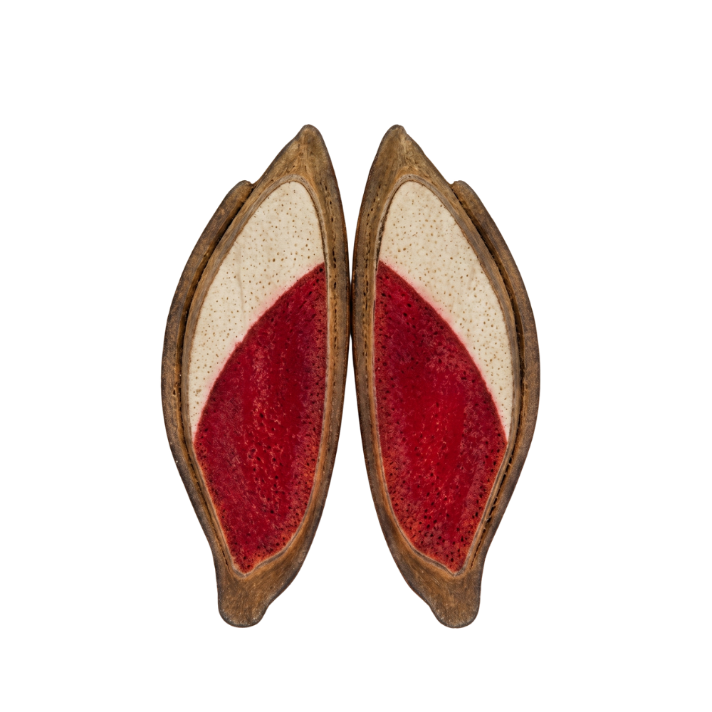 Embrión V1 — totalmente coloreado