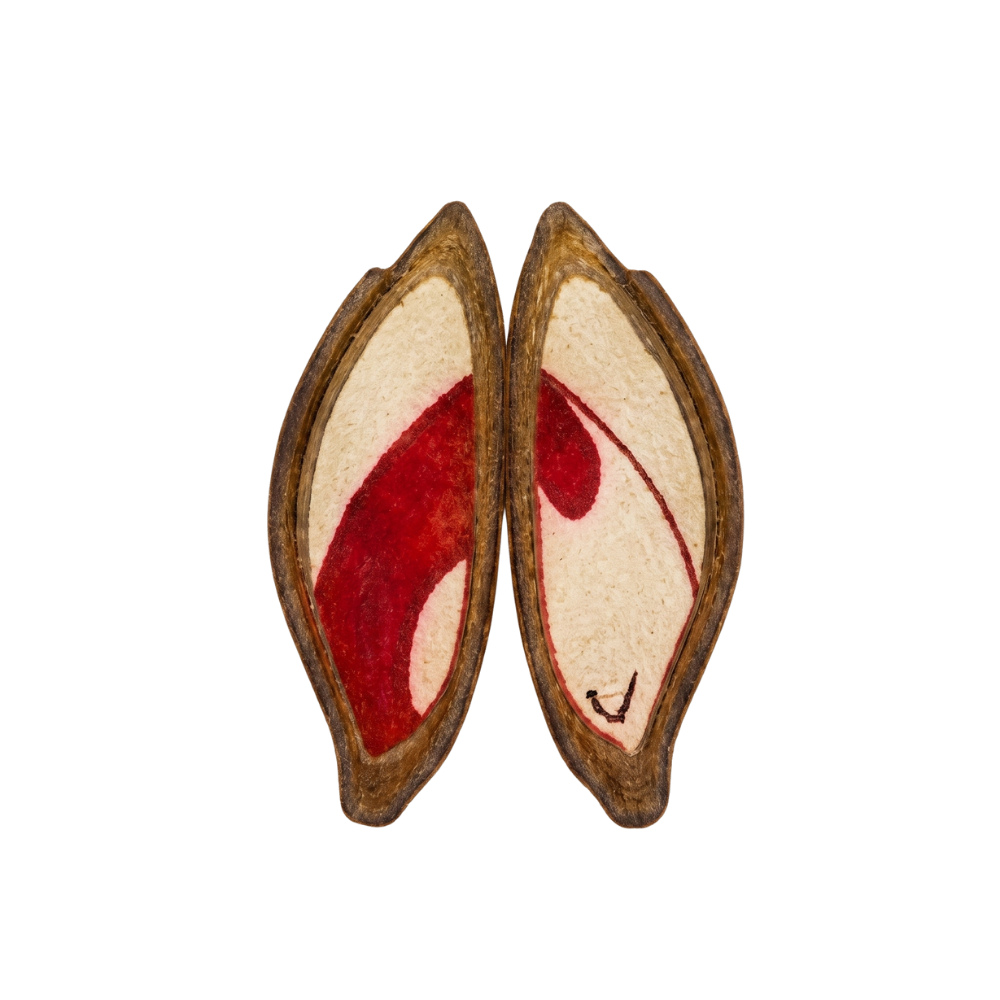 Embrión V3 — coloración parcial en región vital