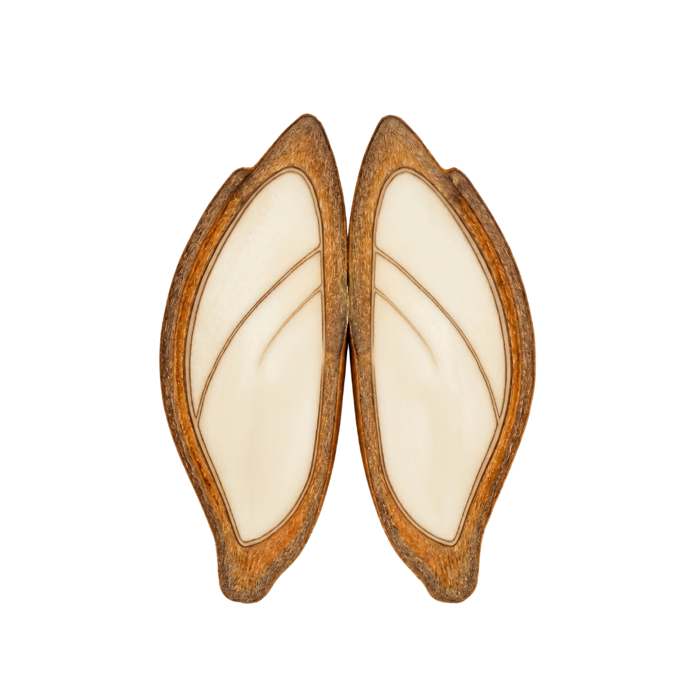 Embrión V4 — blanco o deteriorado